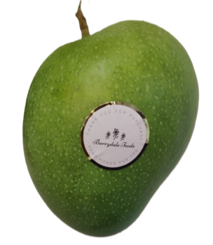 Badami, Banganpalli, Banganapalli, Benishan, Best mango of India, Indian mango