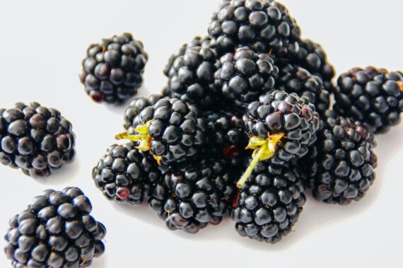 Premium Black berries