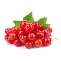 Red Currants - Exotic Fruits supplier in Mumbai