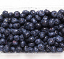 Blue berries Driscol Europe available in India