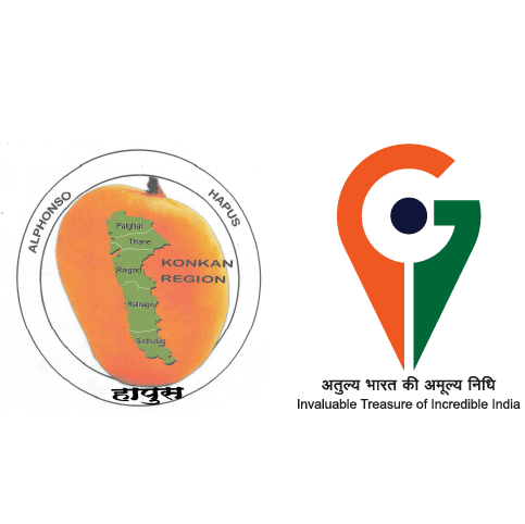 Premium Indian Fruit and Vegetable exporter