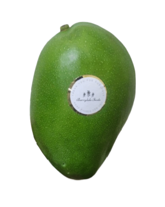 Royal heritage, once served to kings and nawabs Silky, smooth pulp with zero fiber Naturally sweet, rich flavor Limited availability – a rare seasonal indulgence
