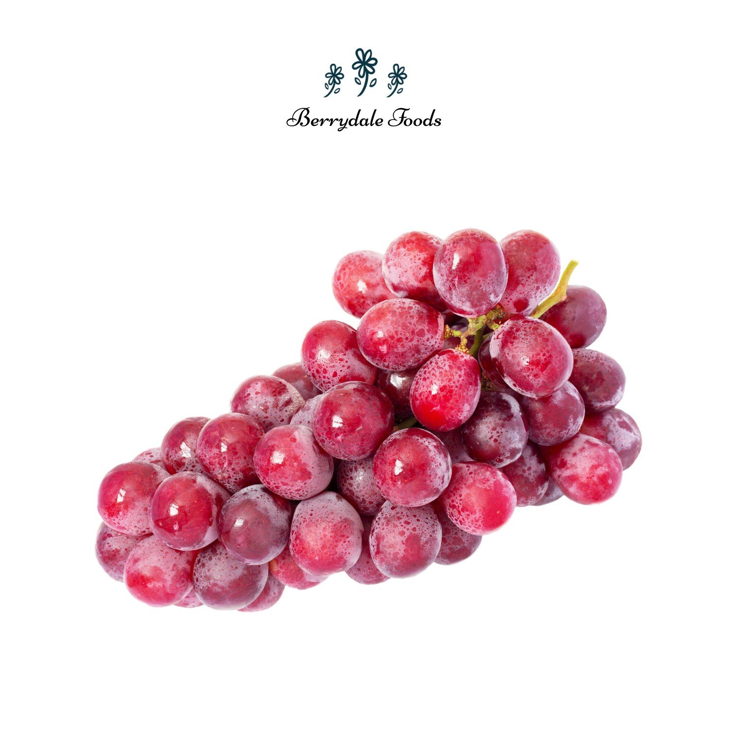 Fresh Red Globe Grapes 5kg export box by Berrydale Foods, seedless and crunchy.