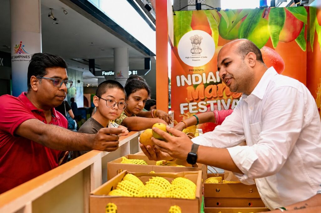 Indian mango Singapore