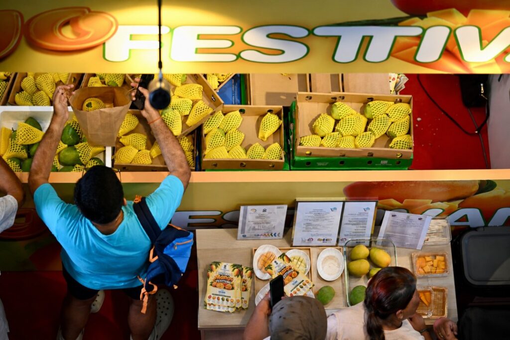 indian mango festival Singapore berrydale foods varieties display our tampines hub