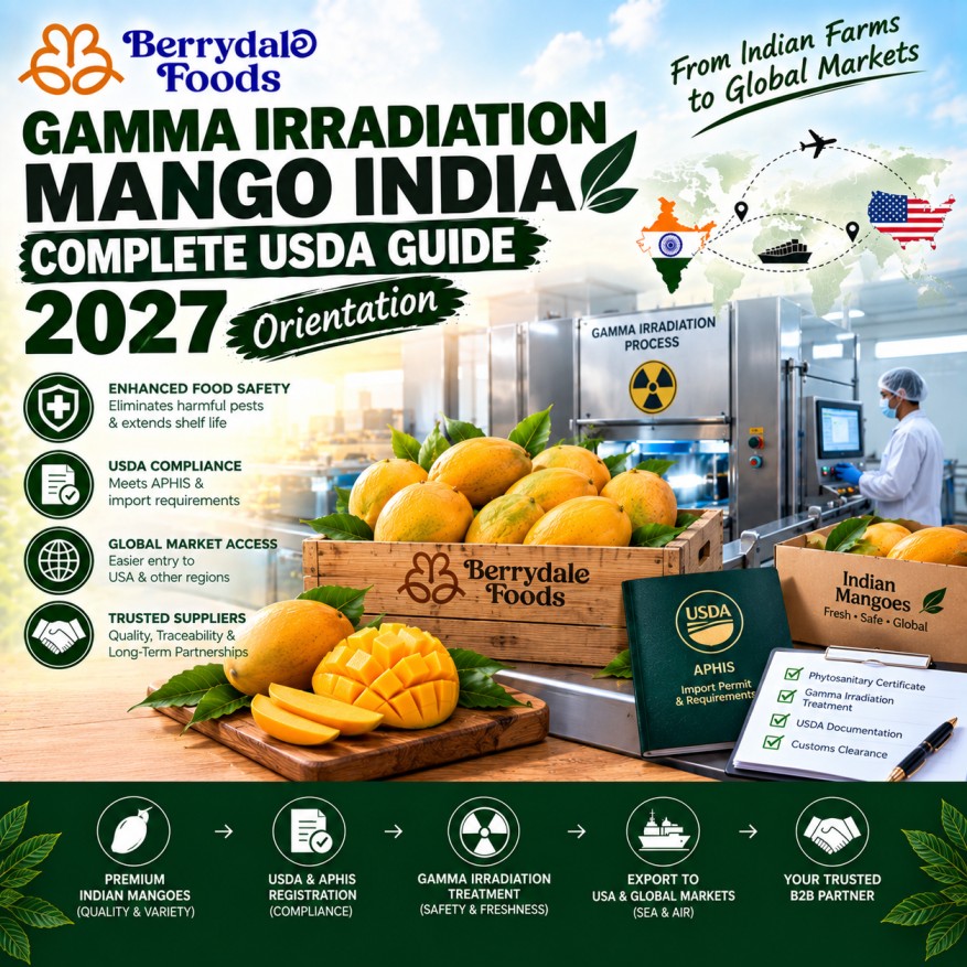 gamma irradiation mango india